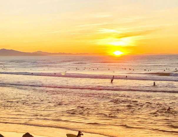 Surf Spirit Tour - Tour du Pays Basque insolite et 100% Culture Surf