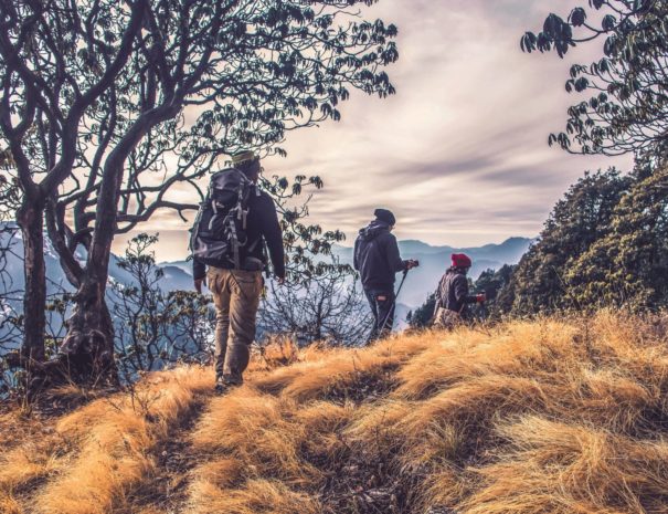 Weekend Wild immersion nature | Txiki Combi Pays Basque