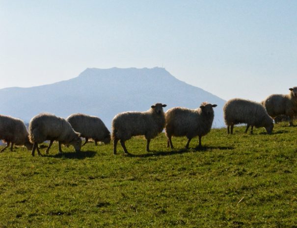 Manex vue sur la rhune - tour original du Pays basque