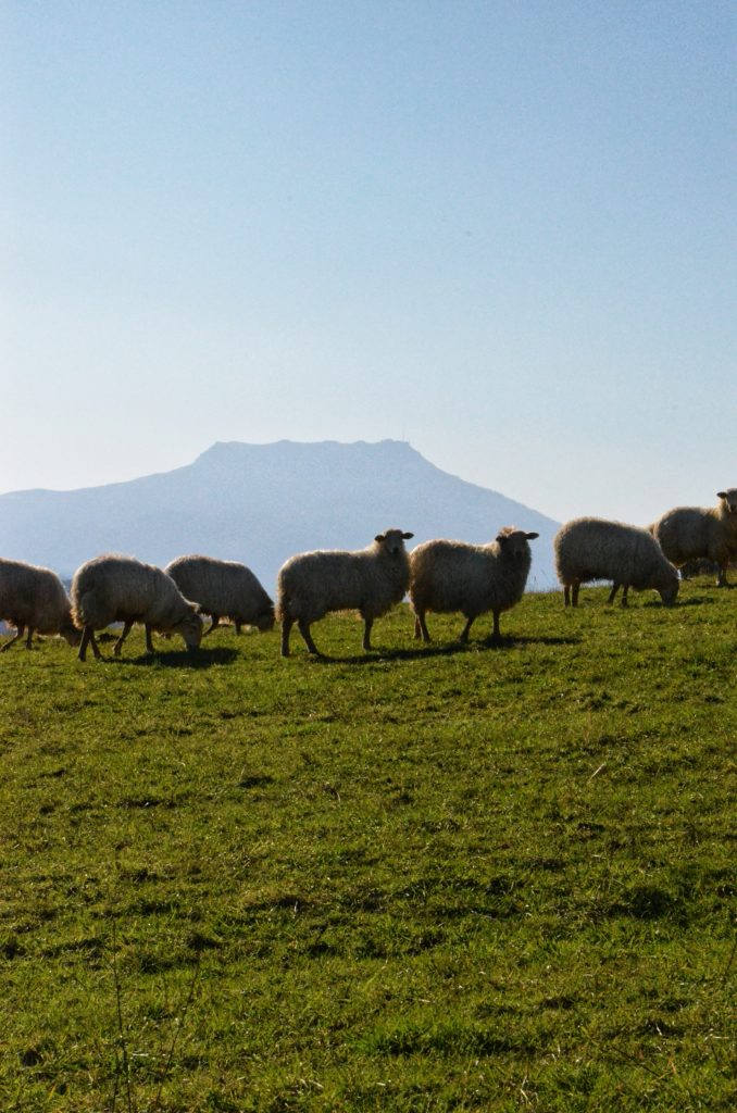 Manex vue sur la rhune - tour original du Pays basque