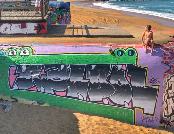 Découverte street Art Anglet Biarritz en Combi VW