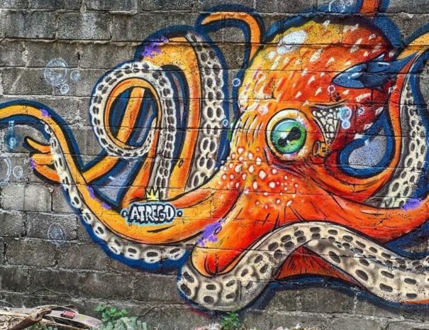 Street art anglet