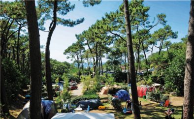 Bienvenue au Camping du Pavillon Royal | Partenaire de Txiki Combi Pays Basque