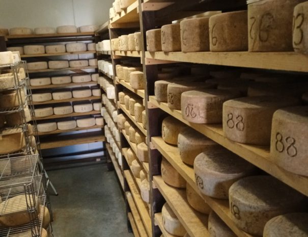 A la découverte de l'Ossau Iraty fromage emblématique du Pays Basque