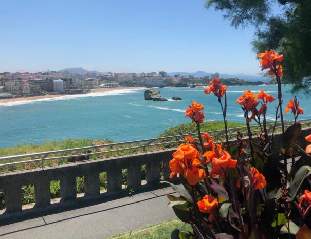 Visit of Biarritz and the basque country | Txiki combi Basque Country Tour