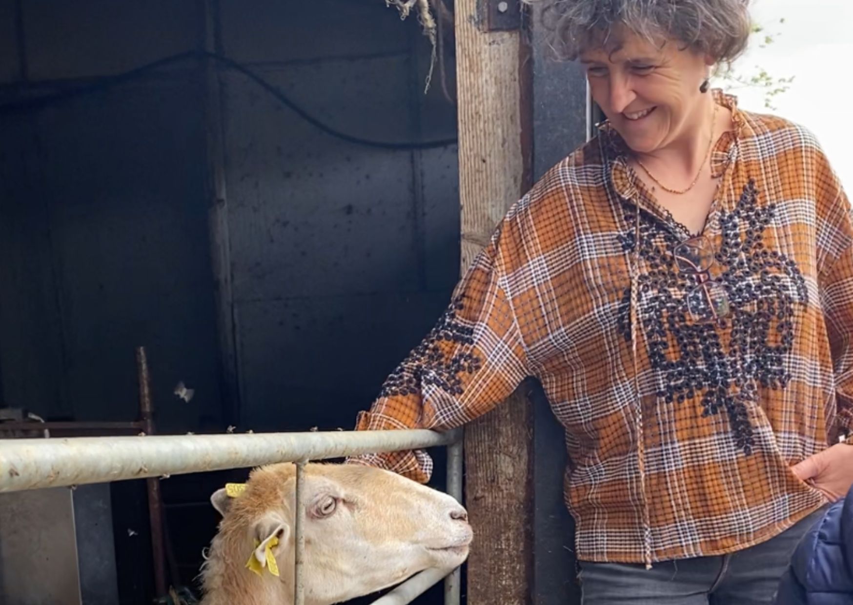 Mirentxu - Ferme Antxondoa itxassou productrice ossau iraty fermier | Txiki Combi Pays Basque